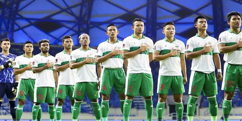 Tin tức về việc Indonesia nhập tịch cầu thủ